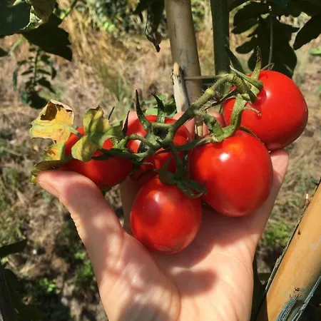 Gæstehus Tui Beds Arenzano